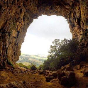 Elephant’s Eye